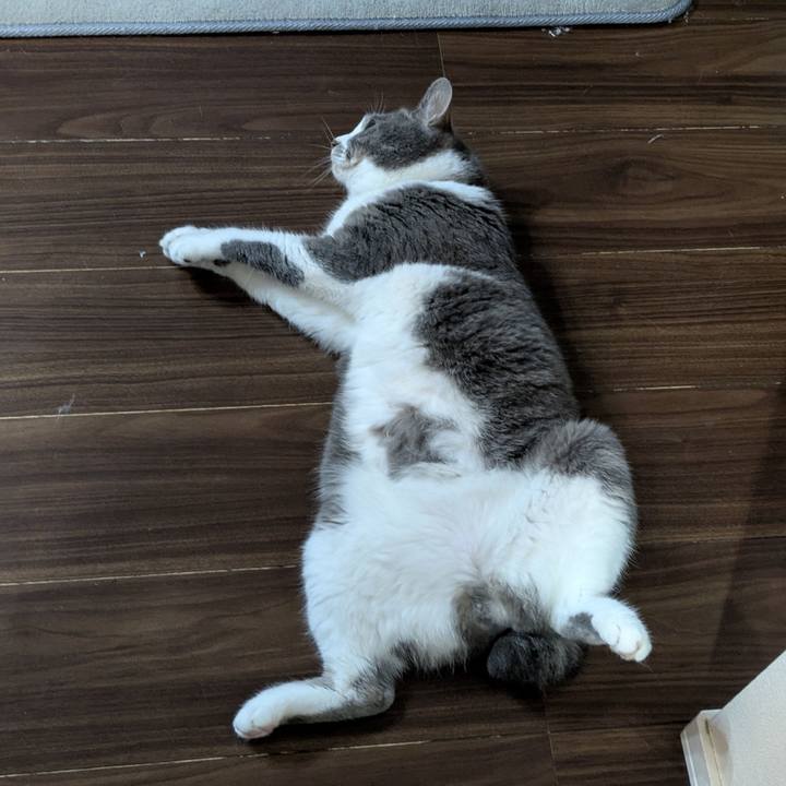 2fdf8acf 880b 4ef0 b76d 484dd6fe73e5 1751453424595