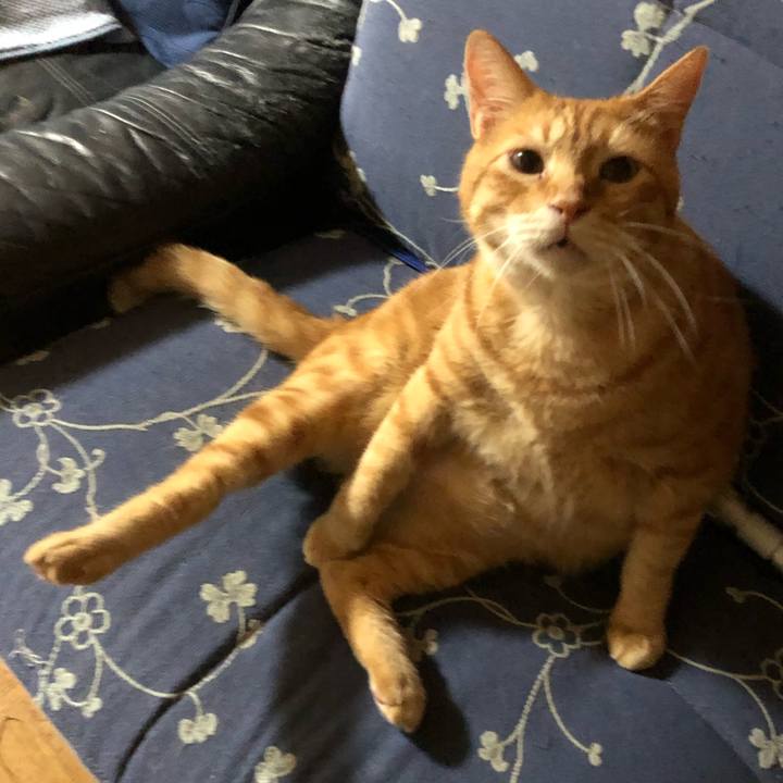 2fdf99ce 382a 4d89 bc7c d115e4726a65 1564653691802