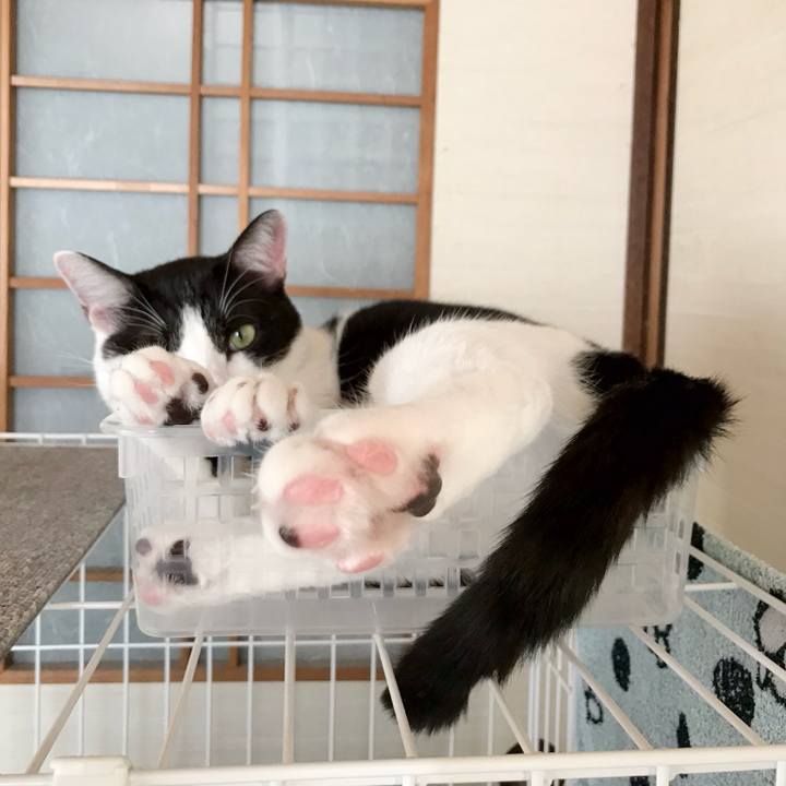 2fdfbe75 b7a2 44a4 85ed 0841ca761d3a 1538183651433