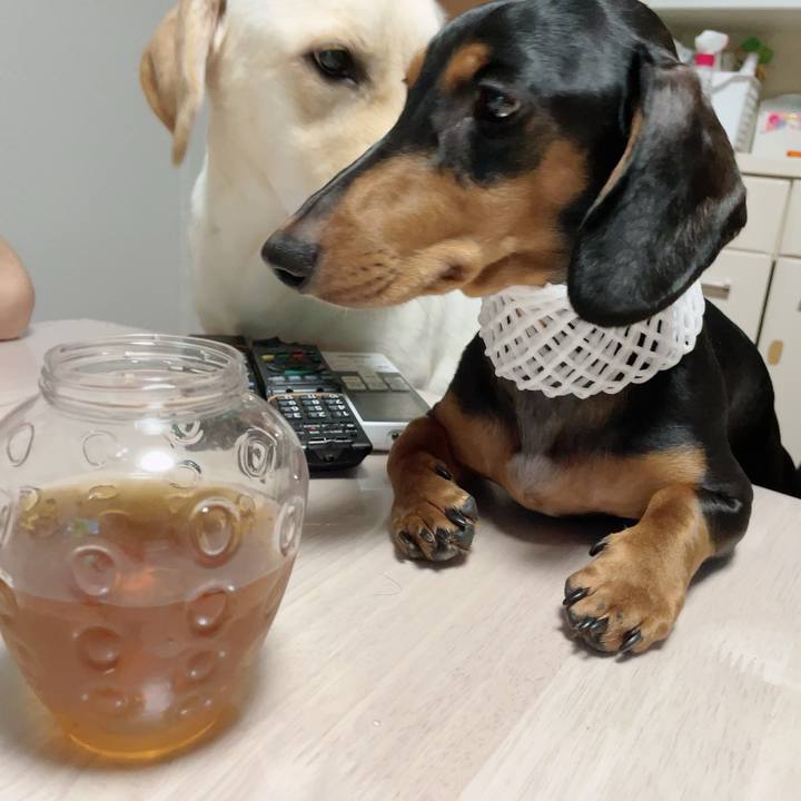 2fdfc389 3d0a 409c 8f5c a63501d677fd 1659881751624