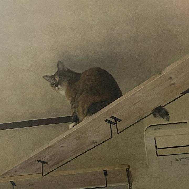 2fdfc95c 3aac 465d 9f19 1b71de68f139 1727975543542