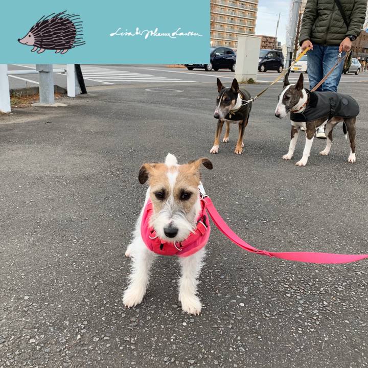 2fe00b4f c299 4a8f 96ab a9a43fe4f432 1578138217856