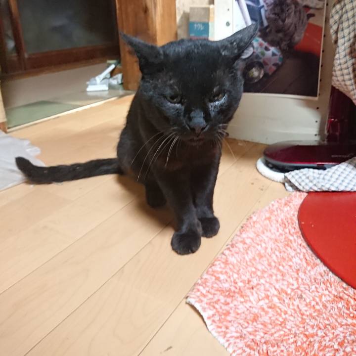 2fe02ae7 1e3d 46e1 8c76 92254164b410 1627732483228