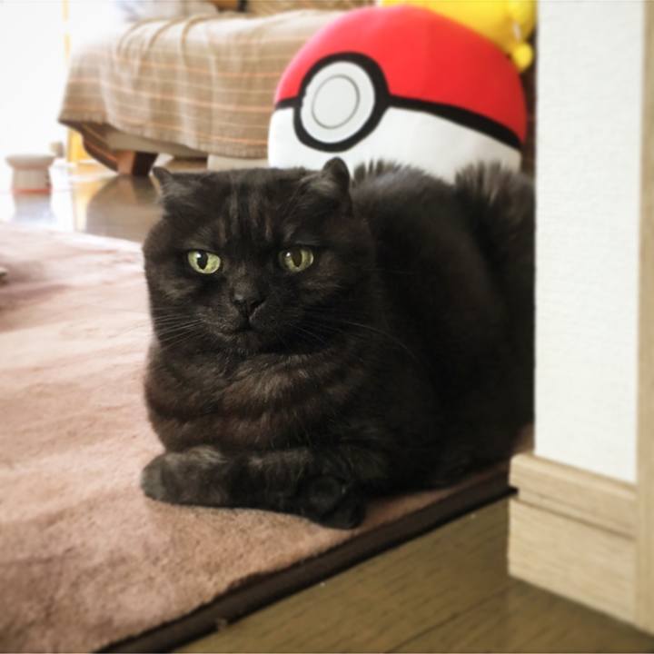 2fe03c32 89f5 48d6 9aee 3f1afe891ffd 1587034540216