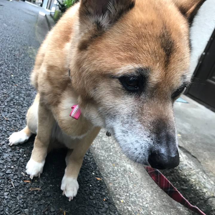 2fe065dd 3f4f 4c62 96cf a3d552cb9cb2 1525734946390