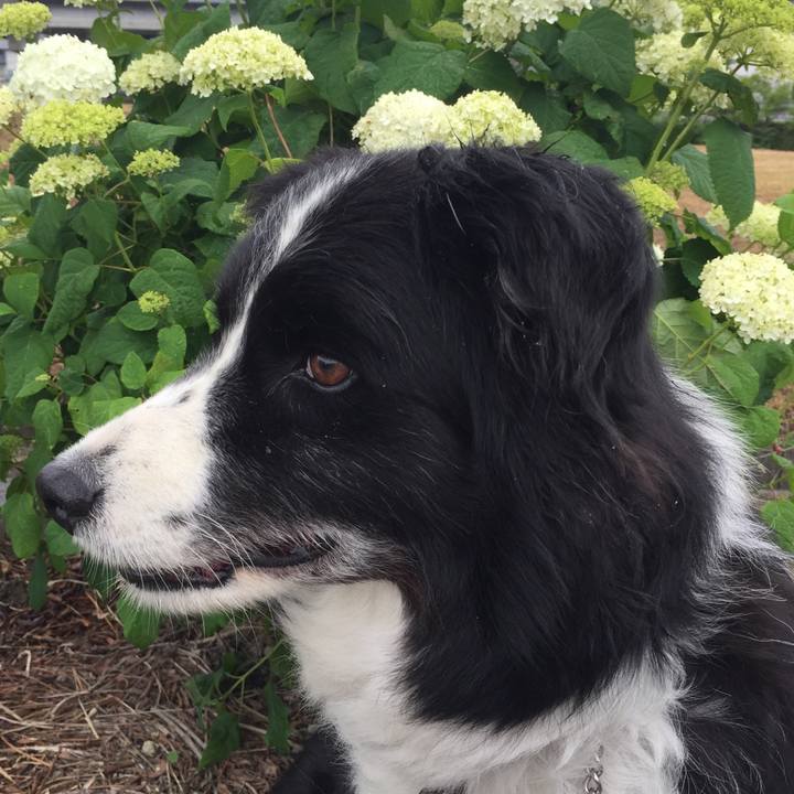 2fe0a732 0d83 4fed 8fdd c91e27322777 1559264309868