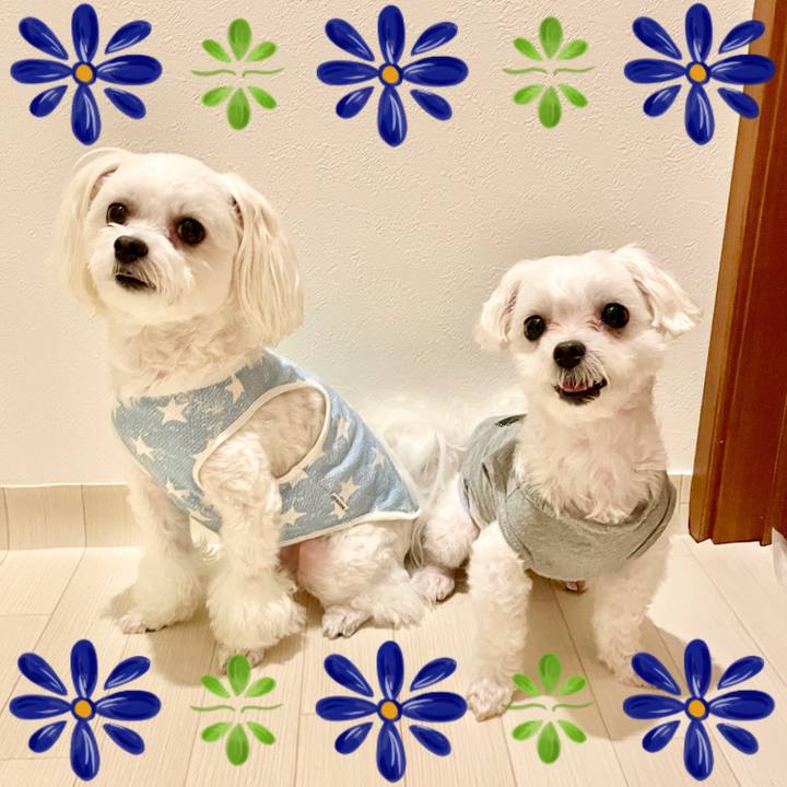 2fe0dd01 73dd 425c 8bf5 9e49772e7881 1633059472547