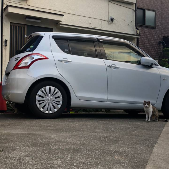 2fe0f4a3 6e5c 4a65 af2f fe4c3c6ccaa4 1558368070882