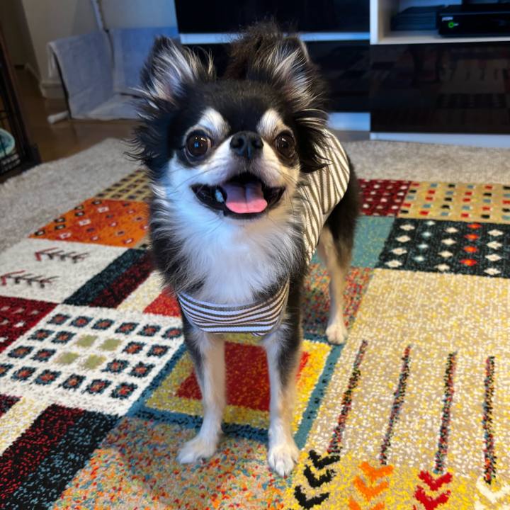 2fe1065c d7dc 42e3 8b2e 22bce70154eb 1726418433491