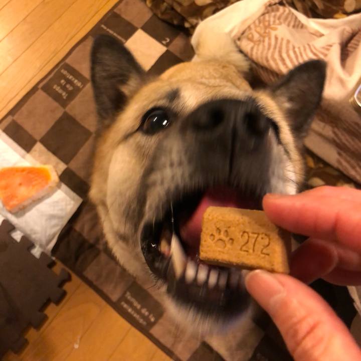 2fe11b10 d640 425b afda ef2344fadacd 1621511426168