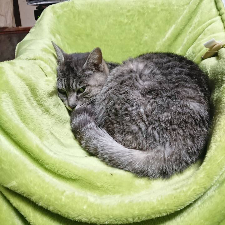 2fe12ca1 38b0 4529 a1a2 36a67e92b8b0 1584309663225