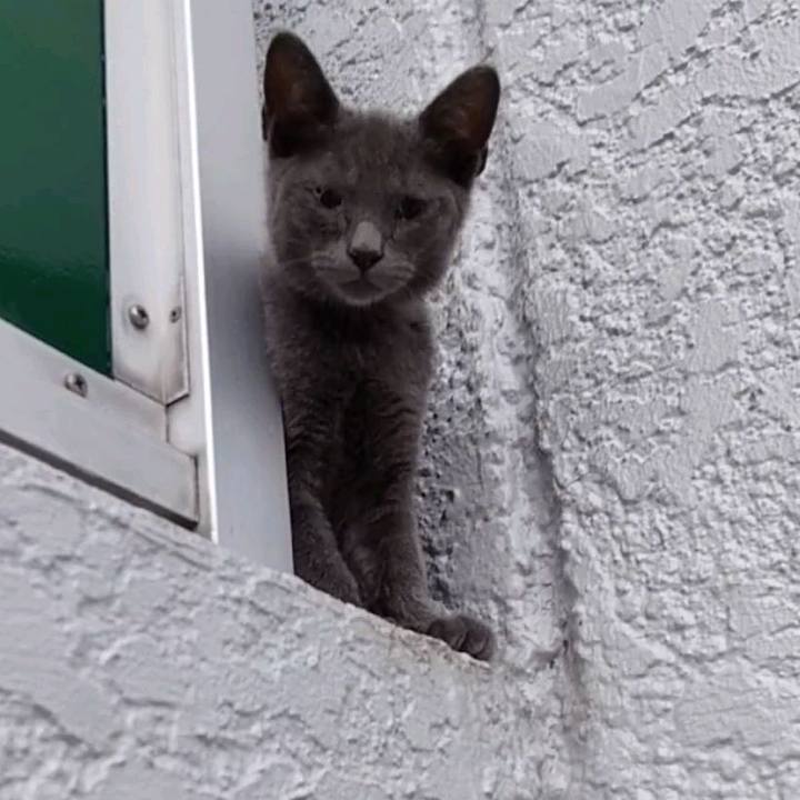 2fe144d3 3268 4716 b767 afcf1b824b8a 1626064105614