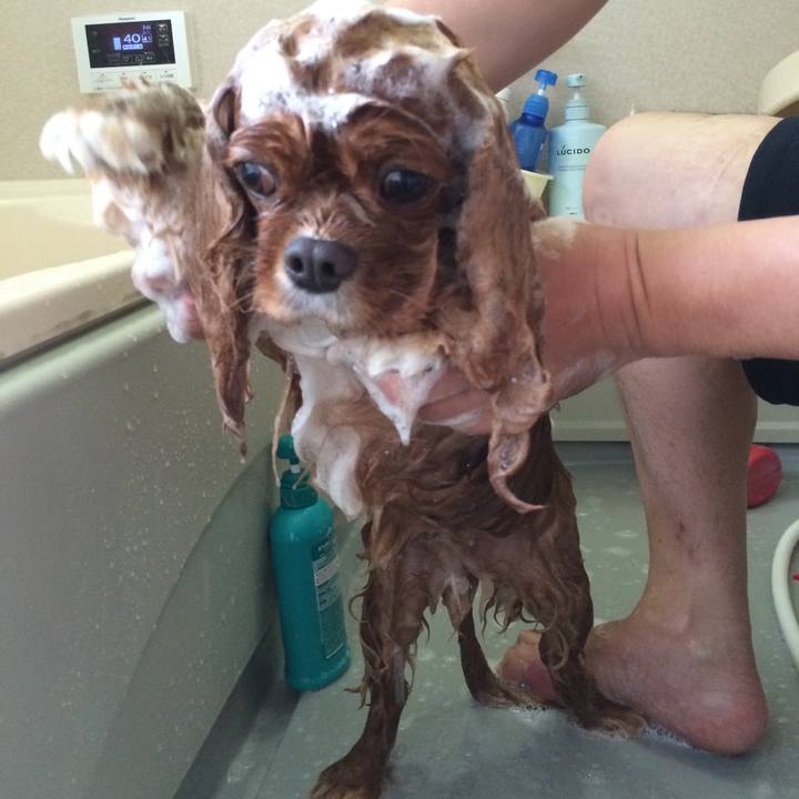 2fe18c6e 7b59 4dc3 b8a9 b77c8c69c43f 1552316439977