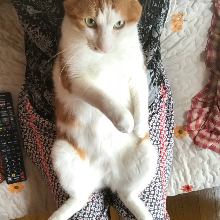 2fe1b9e6 c25f 40c6 b117 68baa15c281d 1538261056552