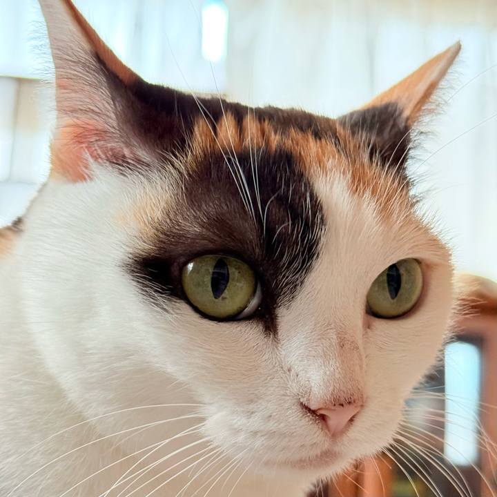 2fe1fa51 64b8 4a87 ba8f b03ea06ee40d 1732931493116