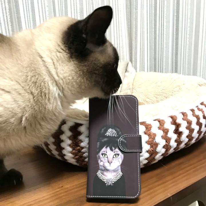 2fe2154f ae42 4508 9339 d896a729e6b7 1549792538694