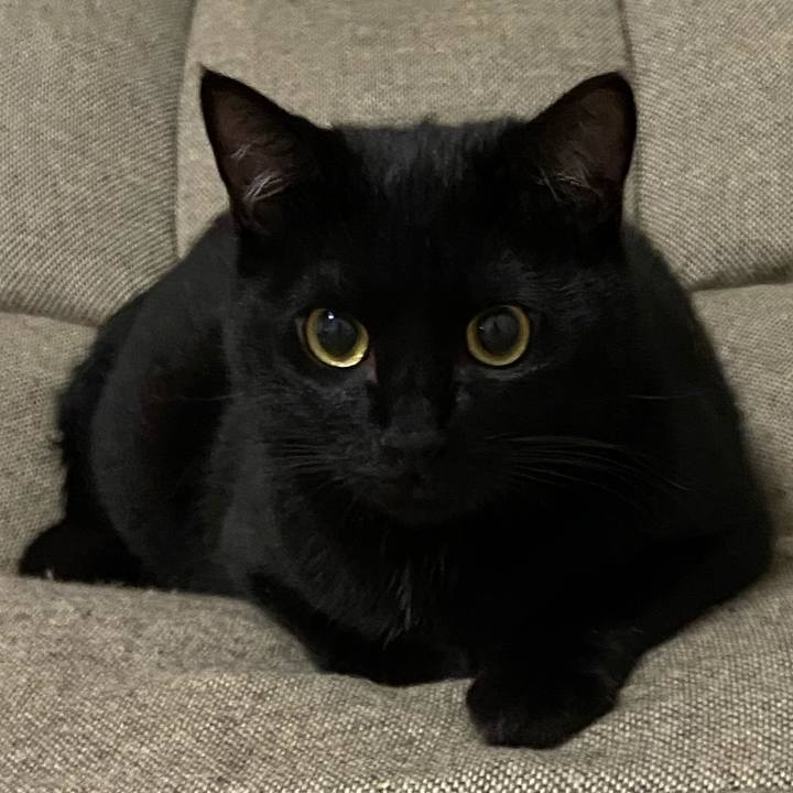 2fe247c7 d10f 42e0 913e e579792d556d 1628076838550