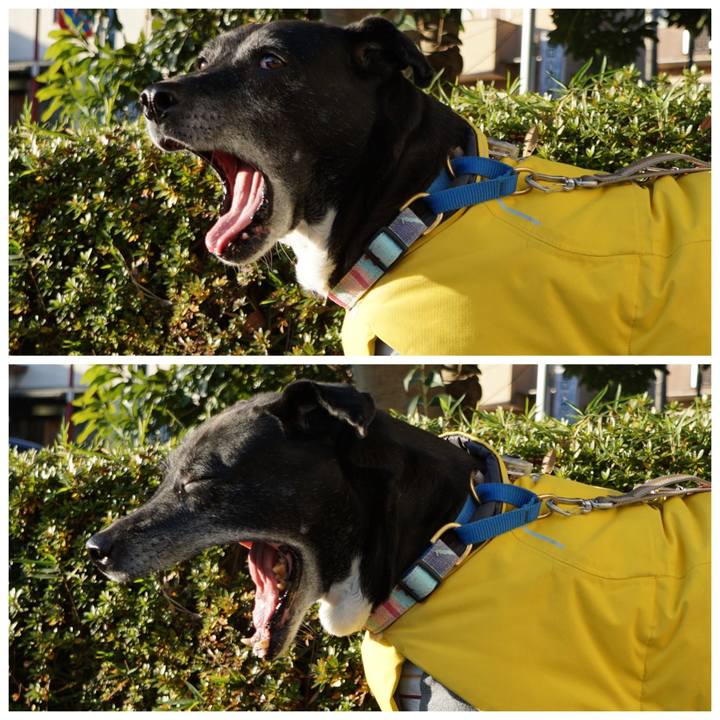 2fe24984 2ceb 4279 80a5 98661218b104 1766968791375