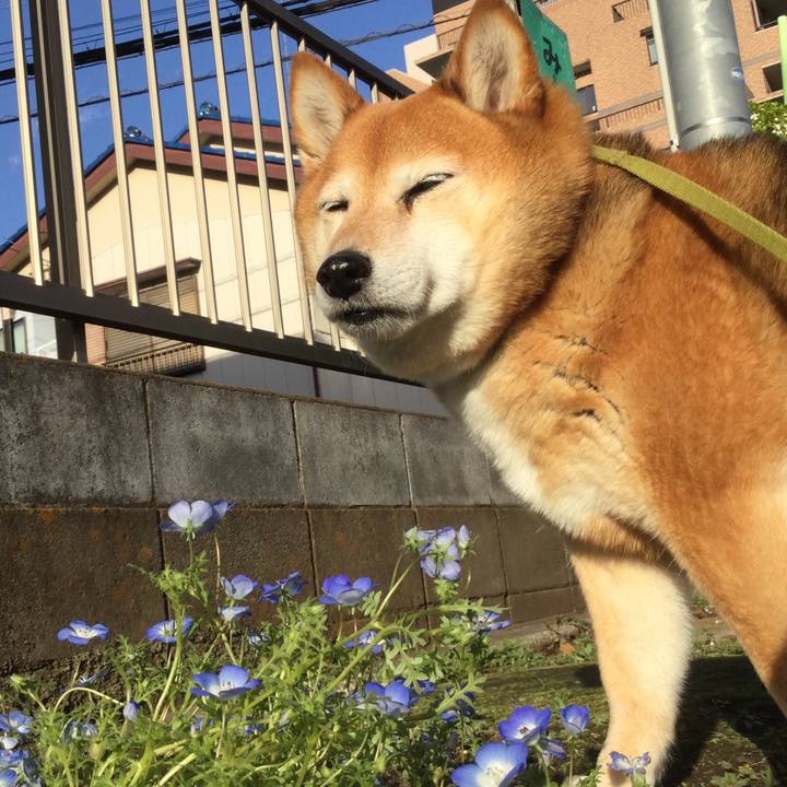 2fe25ed6 8058 4e57 be1b 7ed948eb05b2 1618743063736