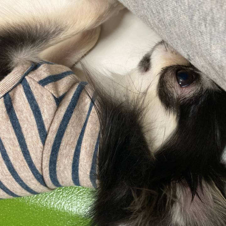 2fe28ef0 fc95 464a a5bb 5500844f88ad 1637415878800