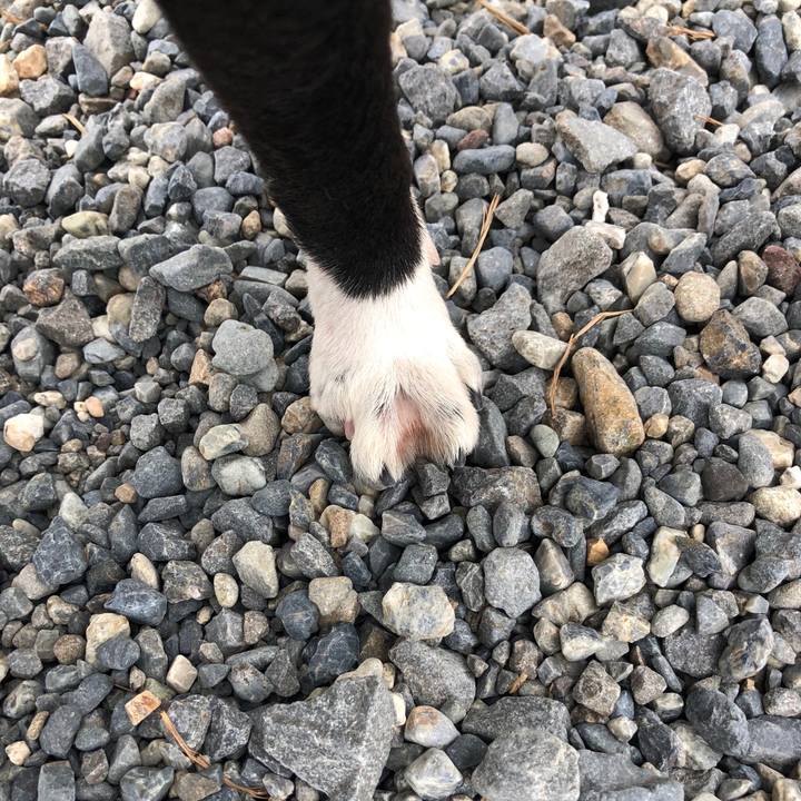 2fe2cab1 9f36 428f 8eb4 068f8f8b8cd8 1519633746716