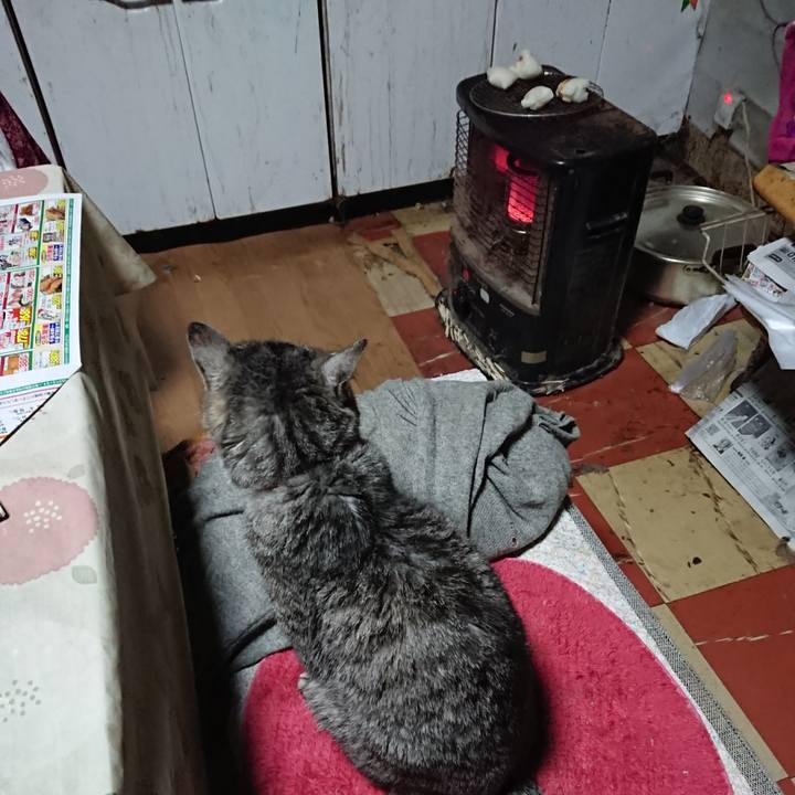 2fe2e1b0 298f 45f0 a857 5524bd2f0b50 1578346614990