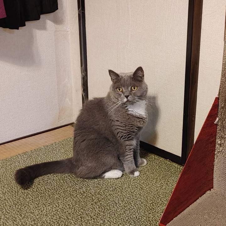 2fe2e37d 63b0 4253 9fd6 aef1517af16e 1728464257209