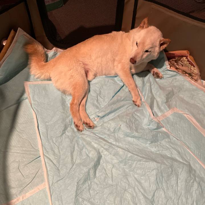 2fe321c2 cd63 4236 af94 dcd96d786628 1648827415302