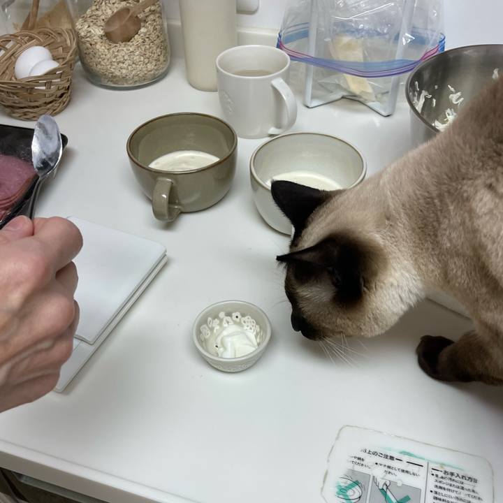 2fe3442f a7a4 4b78 987e 3165f13004e8 1733519529394