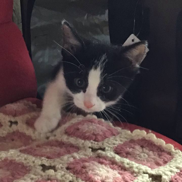 2fe35a7f 8d9c 4fad bb0d e73e39fe472f 1624254221673