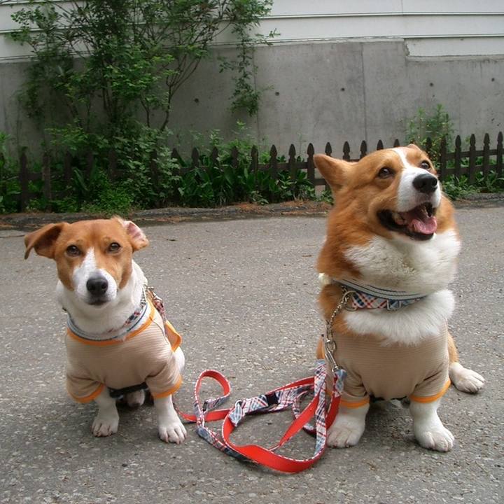 2fe38ee7 6146 4455 8561 89d55eac80de 1558249449420