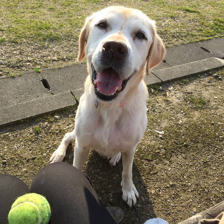 2fe3e64e 457b 46ab 84a5 7f5f68cbf4be 1584512752625