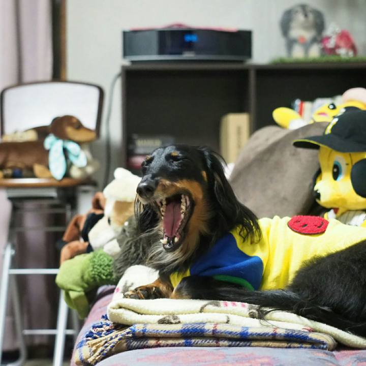 2fe3f1f7 2a56 4e19 baf4 48c8f115baa3 1559028749041