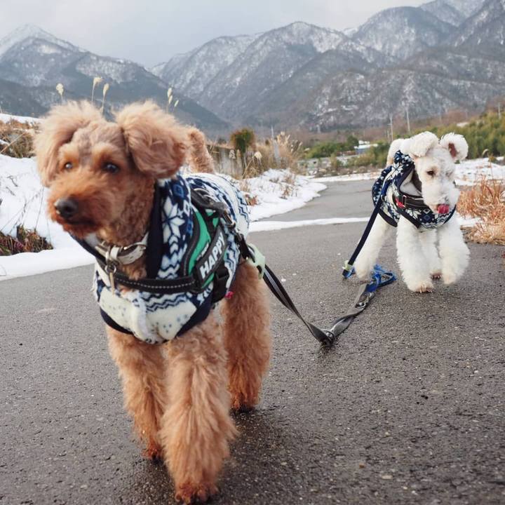 2fe42db7 a18f 42e0 8448 25e1efd314ef 1548887378714