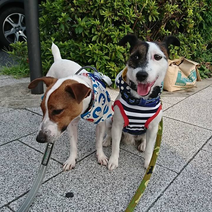 2fe441b6 bf3f 4fa8 9258 2cb7c16003f0 1531778328961