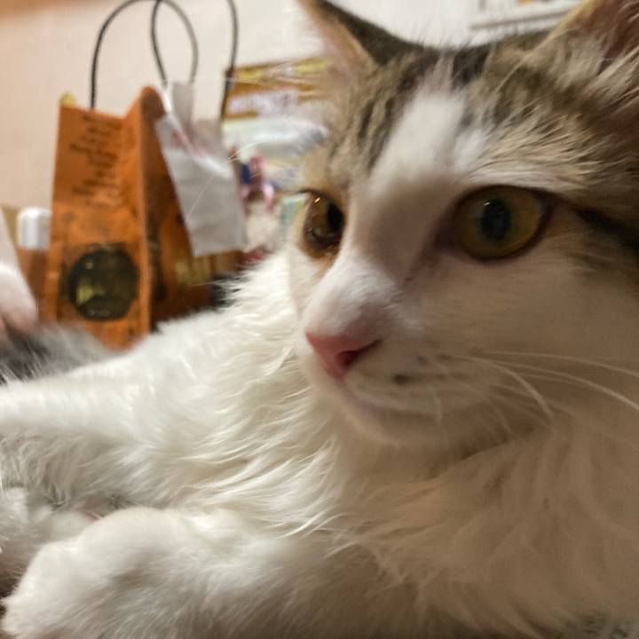 2fe4d09d 721e 4fa3 95b5 6b4e979a6bc1 1727052893445