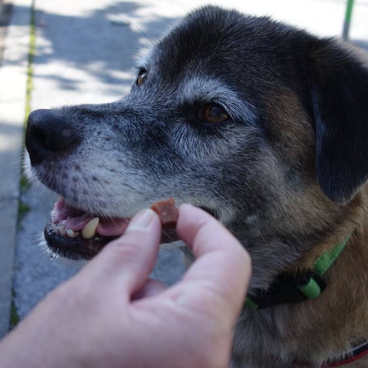 2fe4d971 e768 43e6 a0b6 e7f89f212f50 1538875857501