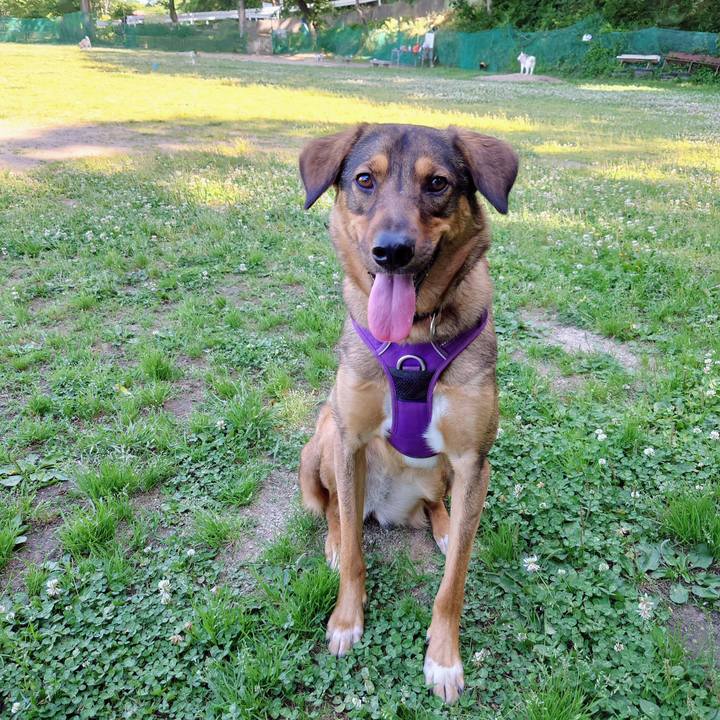 2fe4d9df ba21 44f1 bcc4 8efeb7b8cefd 1716603394428