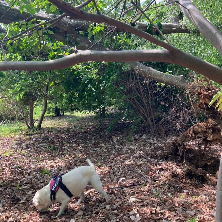 2fe51a03 941b 49d3 85b3 7e8a29a0dbec 1747317361084