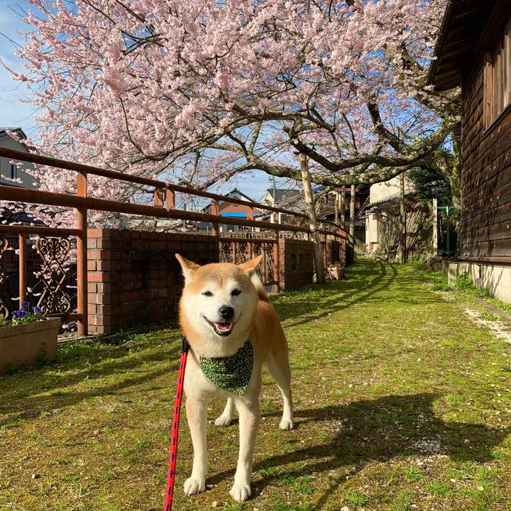 2fe52fc3 6e67 4181 8e11 6b15ed83182e 1679914640051