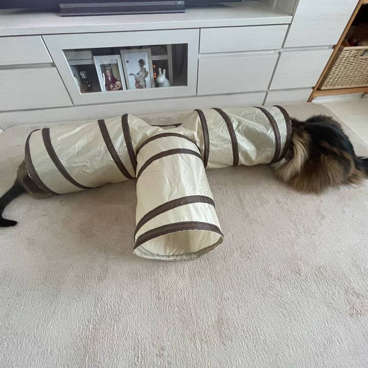 2fe5702f 8e5c 4d4b b501 14c16aaa044c 1747691004032