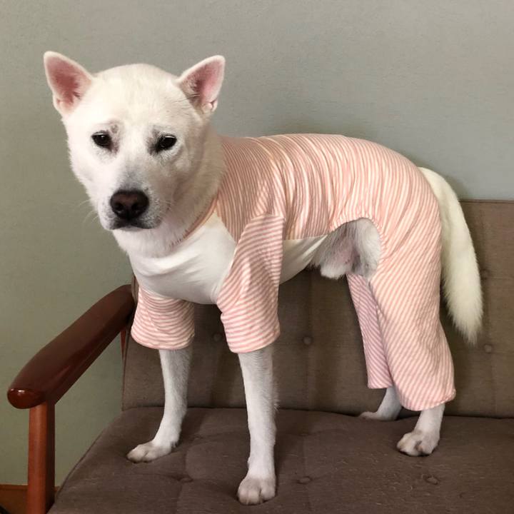 2fe57755 bf96 4bc8 aa1b beecad001325 1601087198877