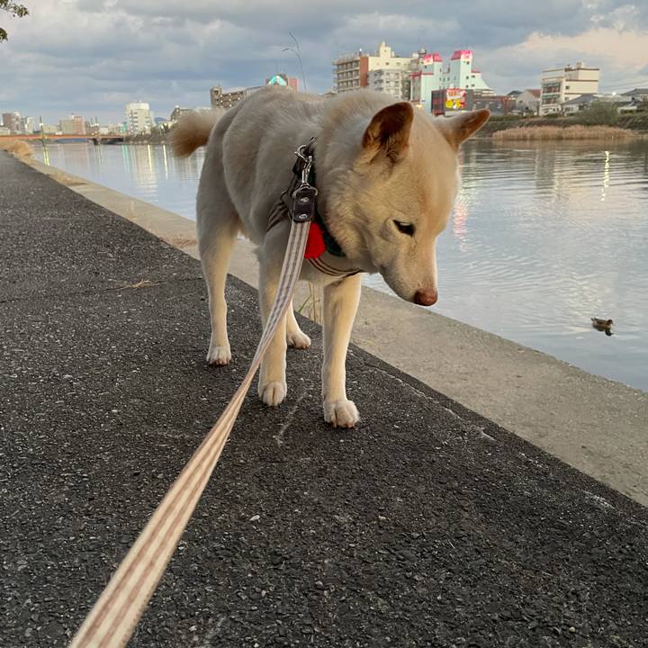 2fe5861c 6c49 44b5 9a3c 303502bed811 1639566868222