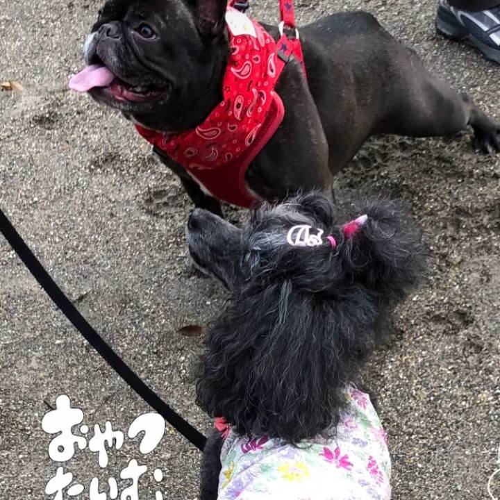 2fe58fc8 f808 4498 9fae 8f9b97472587 1721811000476