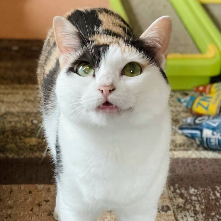 2fe5963f 5d16 4b89 b4b3 12da16b7bfec 1626750805430