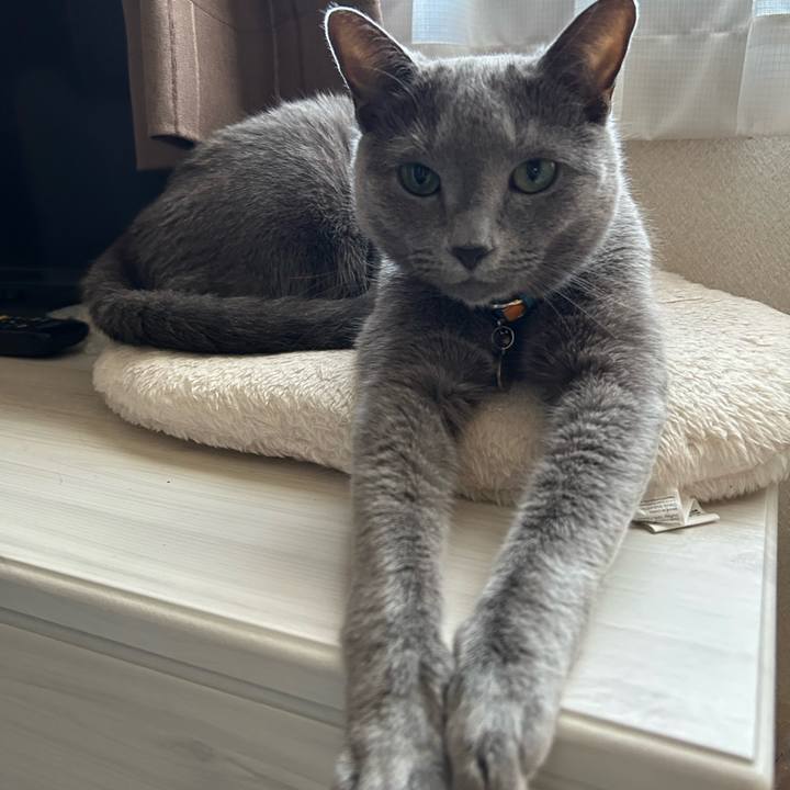 2fe60737 fe36 4310 a88f 8f6b1b9ddf51 1754005444945