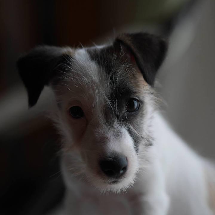 2fe6094a bb33 40d3 8217 775f25b128ec 1627739909718