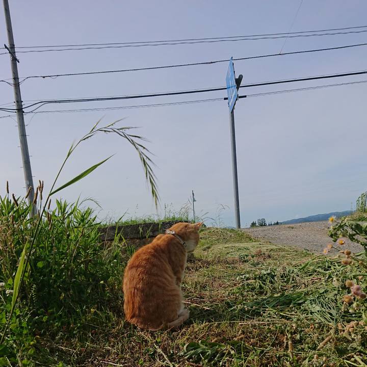 2fe61381 47cb 423b af0e 5e09175faa5a 1591432796243