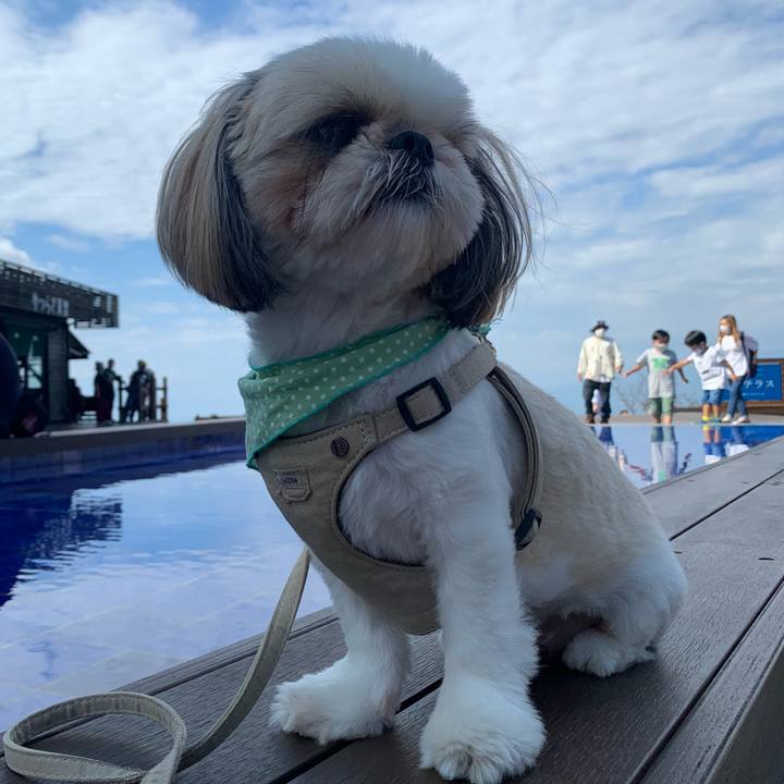 2fe64c1b 0924 42f1 bdad b13c53c97b6e 1633869546293