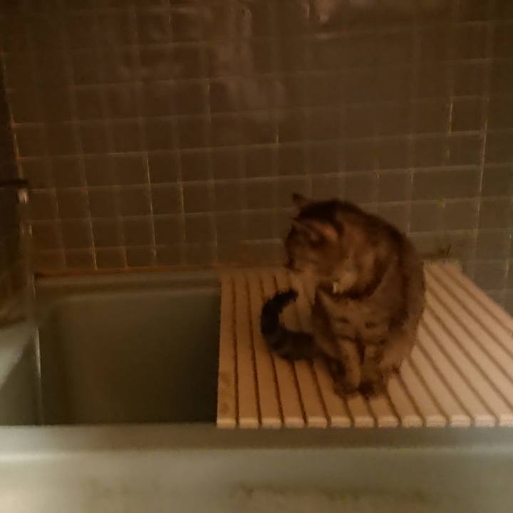 2fe6cf5c 0a2d 403f 8b2b 86fcd6f3b2e6 1575104087415